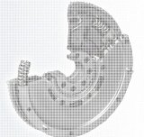 ko�o dwumasowe regeneracja w Raci��u