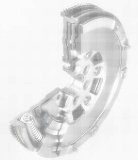 ko�o dwumasowe regeneracja Raci��